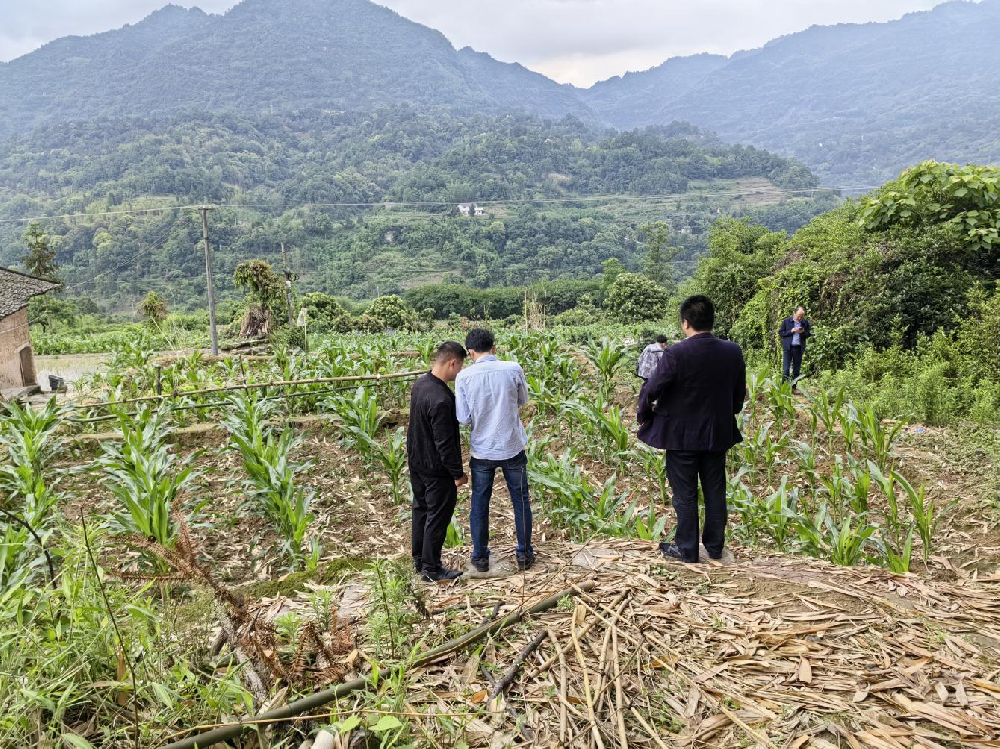 1684400842662638.png 圖片2.png